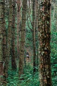 BIB: 
                            <button type="button" onclick="openModal(25235632)" class="btn btn-primary btn-sm float-right btn-popup" data-toggle="modal" data-target=".modal-high-quality">
                        <i class="fas fa-shopping-cart"></i> Add to Cart
                    </button>
                                            <button type="button" onclick="isThisMe(25235632, true)" class="btn btn-success btn-sm float-right btn-popup btn-isme hidden" data-toggle="tooltip" data-placement="bottom" title="นี่คือรูปของคุณใช่ไหม คลิกที่นี่เพื่อเอาเข้าอัลบั้ม">
                        <i class="fas fa-plus"></i> Add to album
                    </button>
                    <button type="button" onclick="isThisMe(25235632, false)" class="btn btn-warning btn-sm float-right btn-popup btn-isnotme hidden">
                        <i class="fas fa-ban"></i> Remove from album
                    </button>